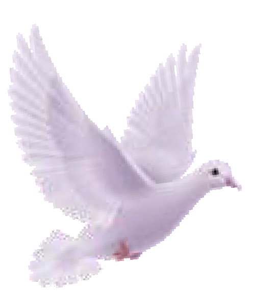 Spiritofhopecounselingusa.com